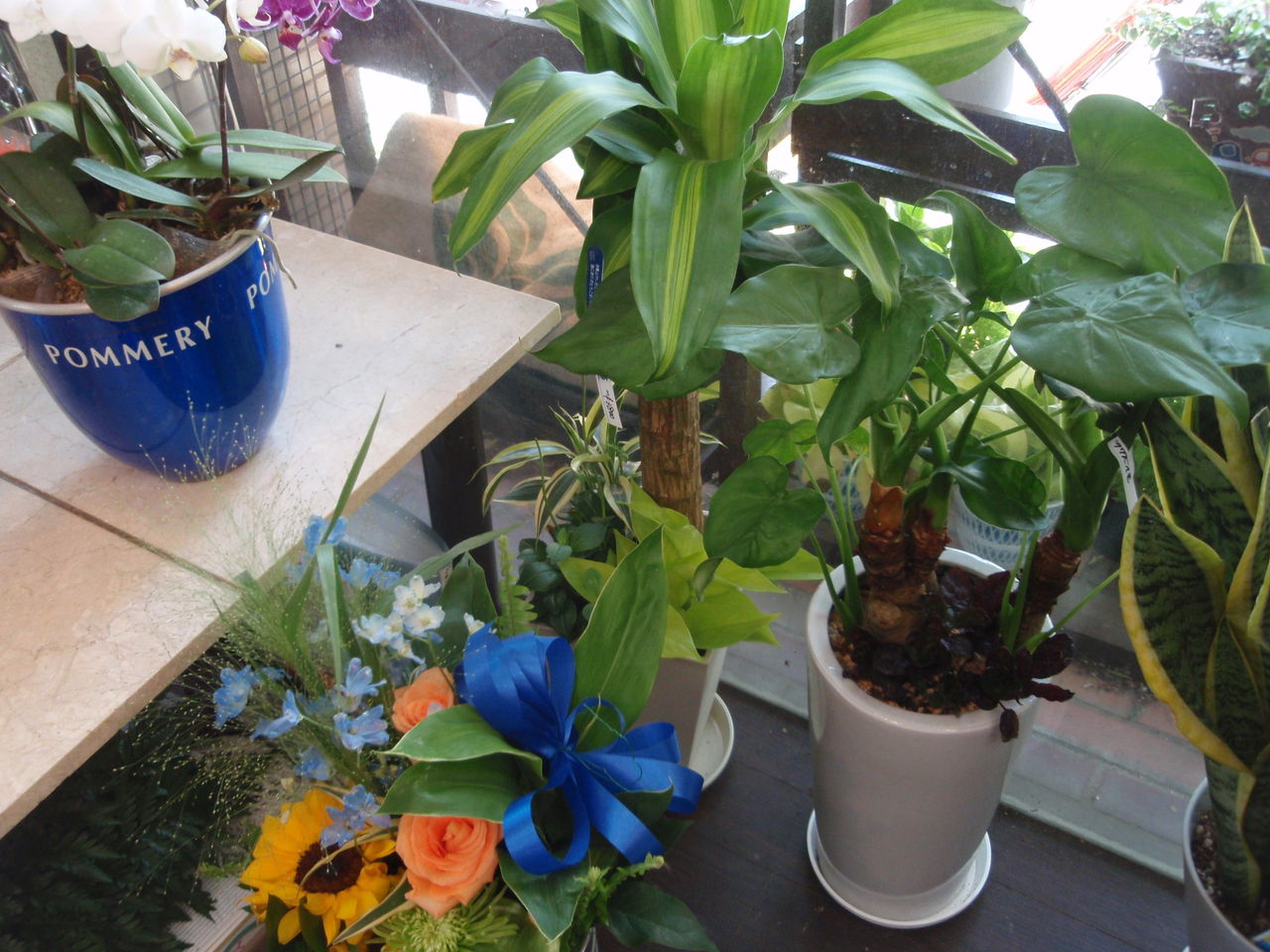 ガンバブルーなお花をあなたに 花の部屋 青黒アシスト商店街 ほくせつ青黒つーしん ほくつー ガンバ大阪でホームタウンを盛り上げるための情報サイト