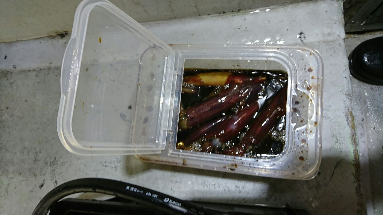 沖漬け ホクユウ流 鳥取遊漁船 北祐丸 シロイカ奮闘記録