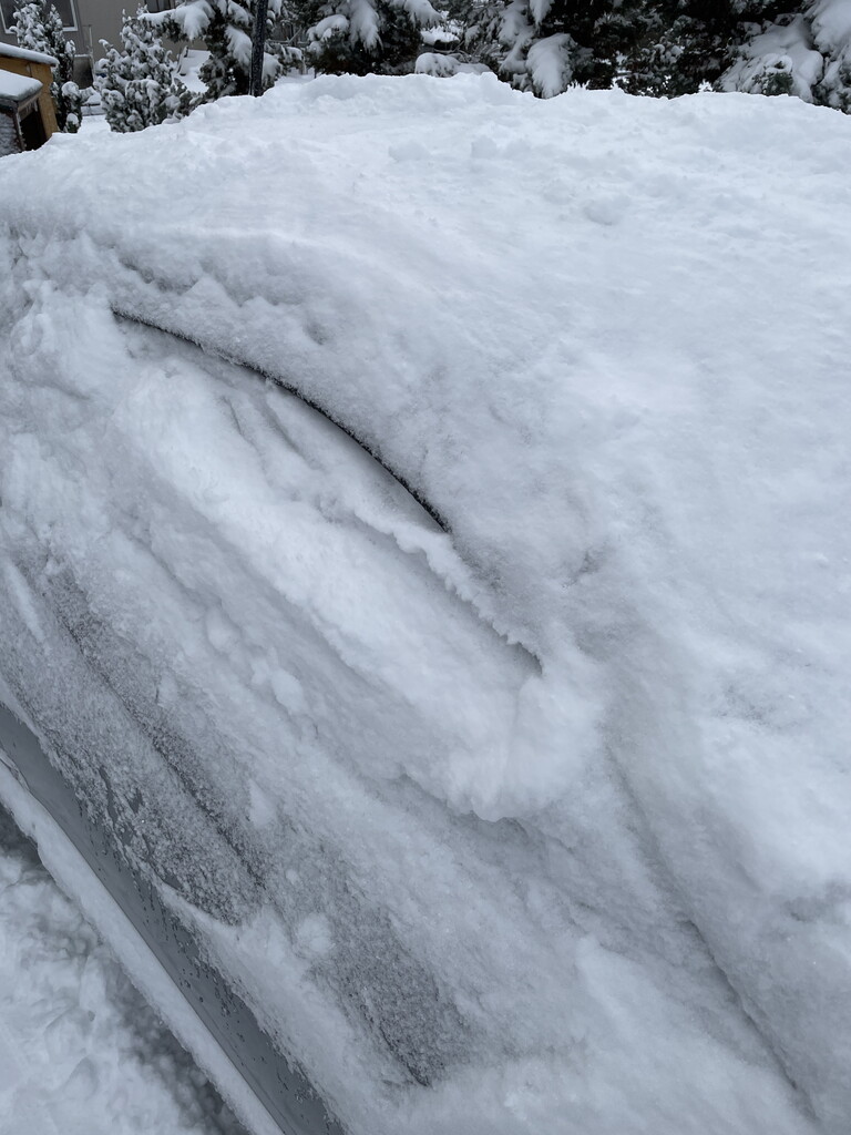 涼しげな画像をお届け 春庭の孔ー花騎士まとめ 涼しげな画像をお届け 春庭の孔ー花騎士まとめ