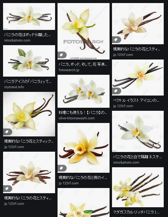 バニラの花の画像汚染が深刻 春庭の孔ー花騎士まとめ