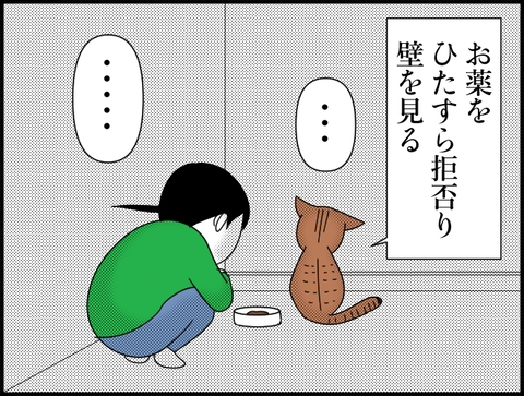 壁を見るチェポ