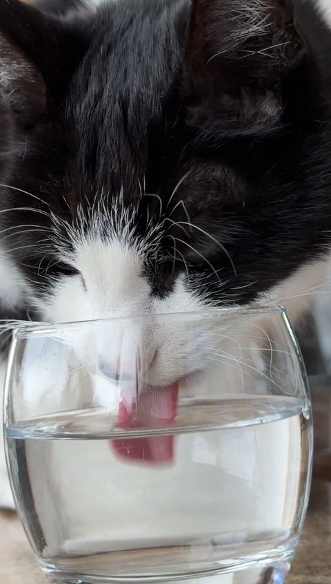 水