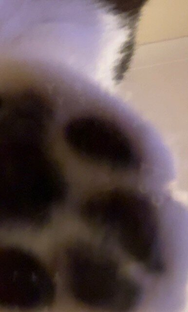 thumbnail_IMG_9886