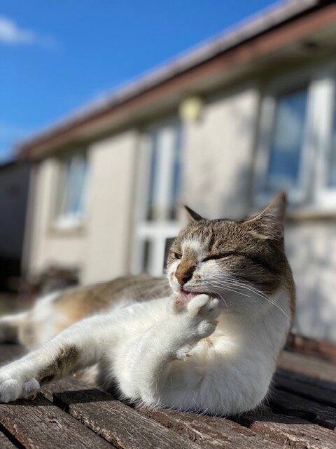 thumbnail_IMG_0843