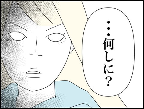 何しに？