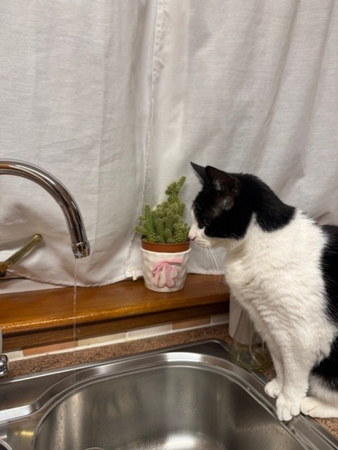 水見る