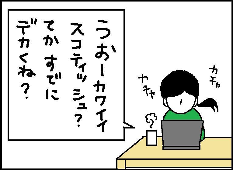 ホリー絵日記