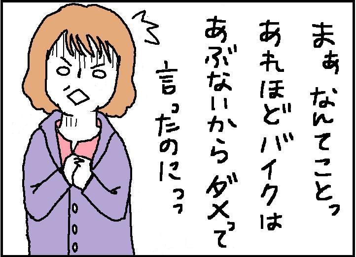 ホリー絵日記