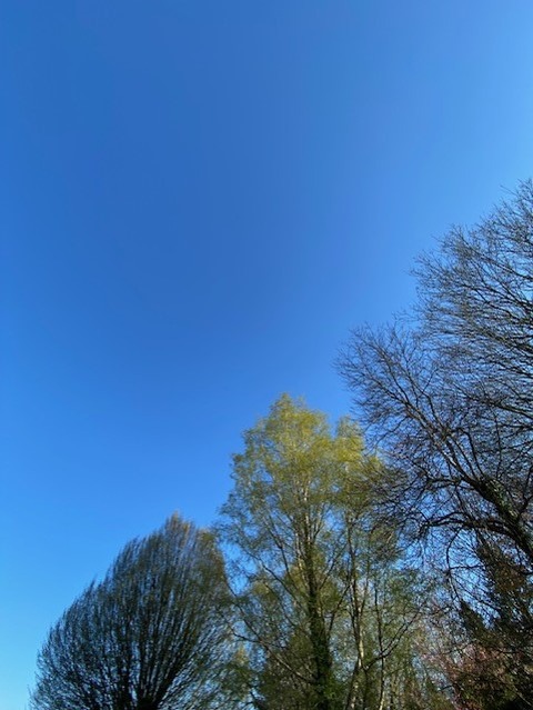 thumbnail_IMG_0163