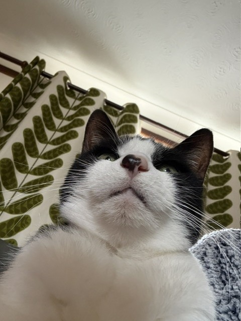 ドアップ２