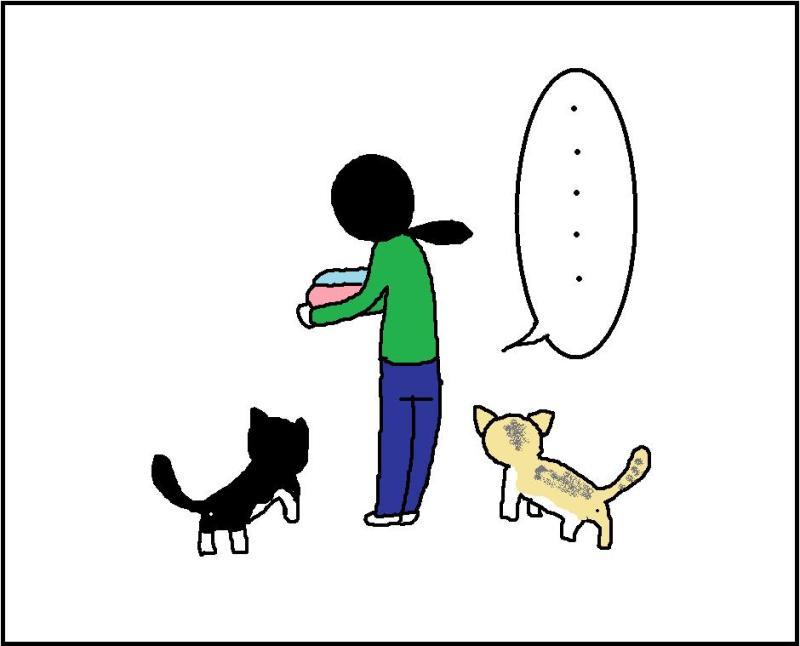 $ホリー絵日記