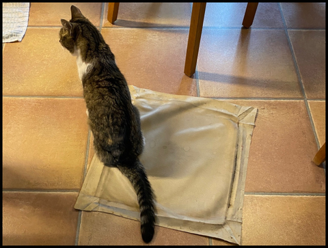 お手伝いちぇぽ