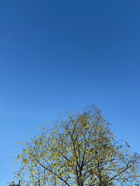 thumbnail_IMG_0164