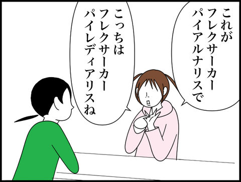 筋肉の名前