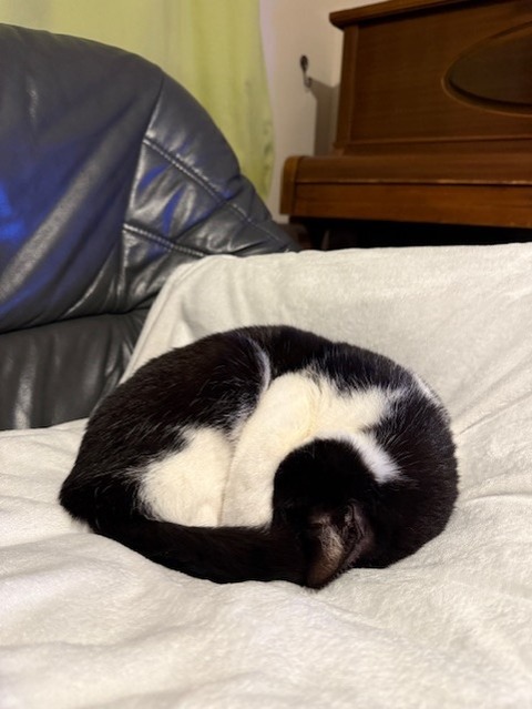 d5248d11-8d94-4061-9b9e-3187b7b9542d