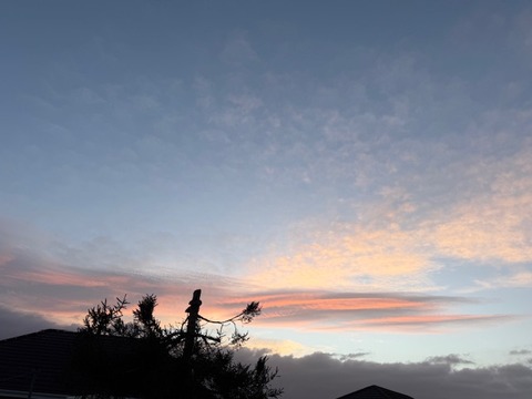 夕日