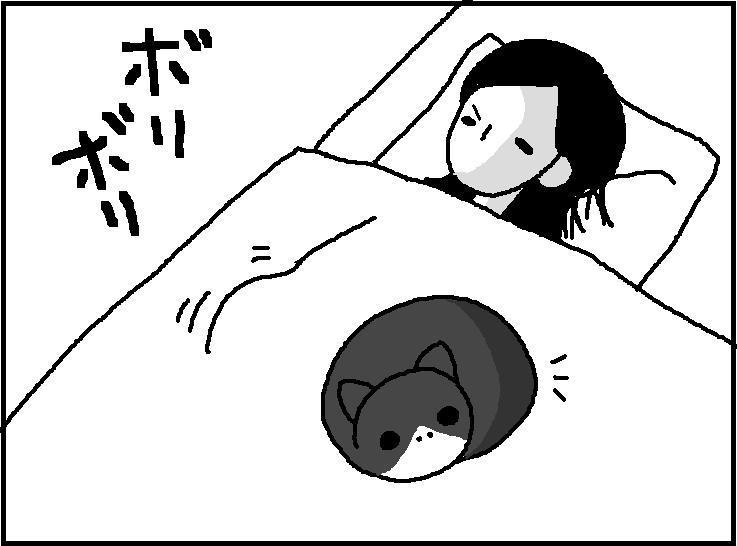 ホリー絵日記
