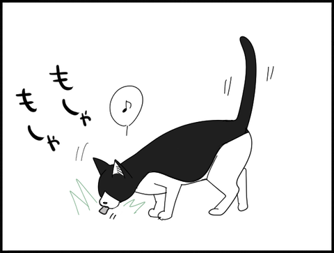もしゃもしゃ