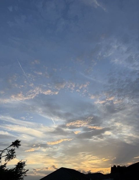 夕日