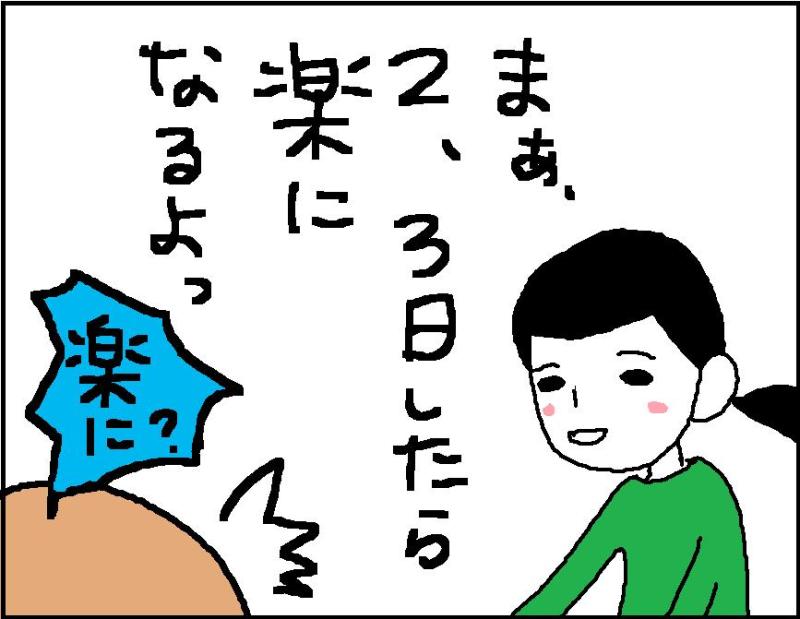 ホリー絵日記