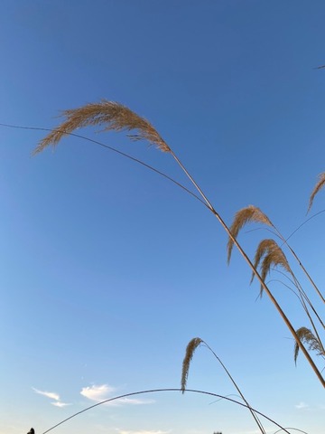 thumbnail_IMG_0104