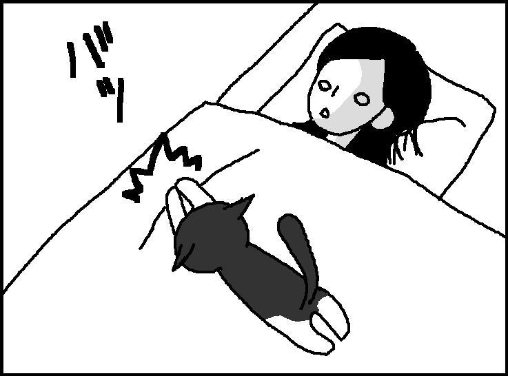 $ホリー絵日記