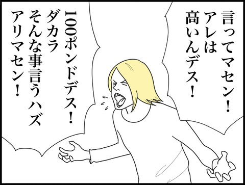 言ってマセン!