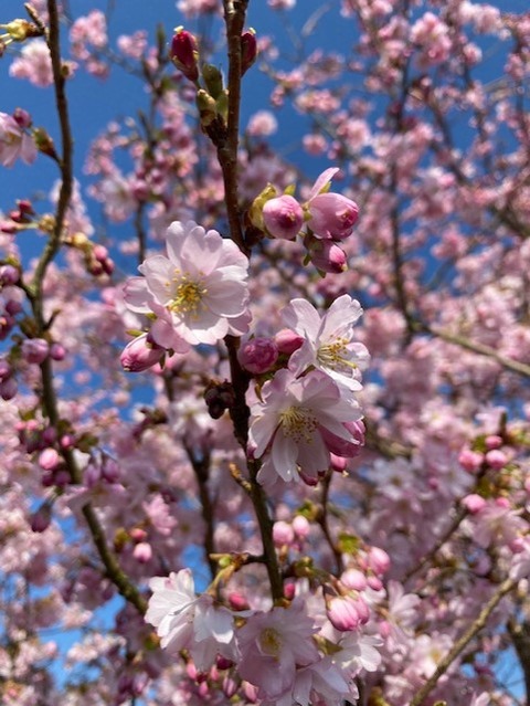 thumbnail_IMG_6192