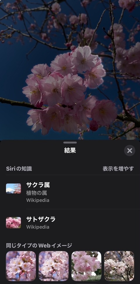 thumbnail_IMG_4606