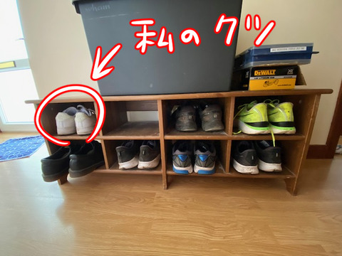 私の靴一足