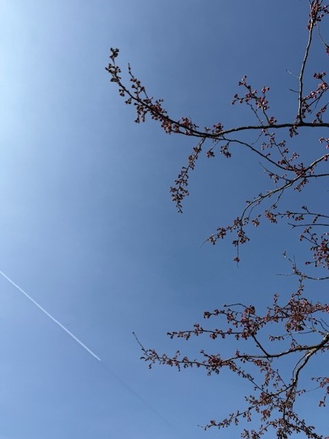 春分１