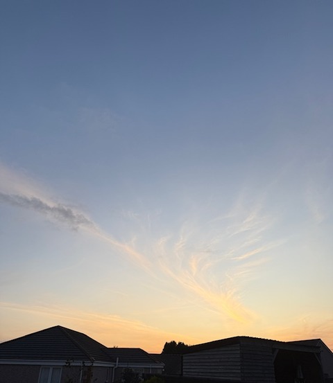 thumbnail_IMG_6838