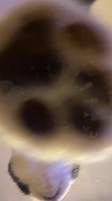 thumbnail_IMG_9887