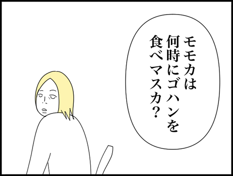 モモカは何時にご飯？