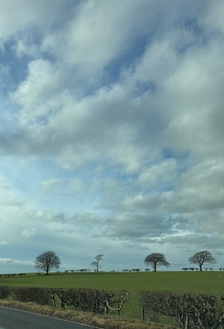 ドライブ２