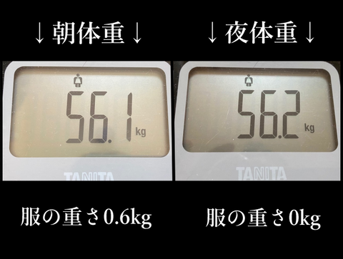 約５６キロ
