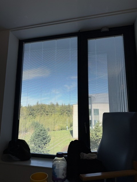 景色