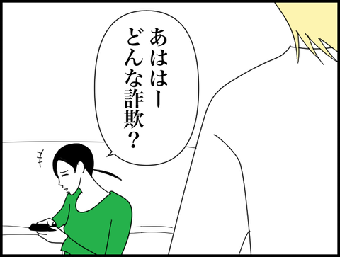どんな詐欺？