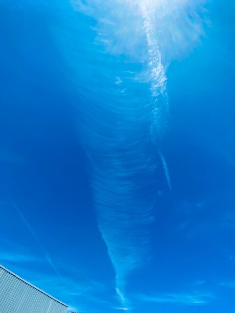 thumbnail_IMG_5520