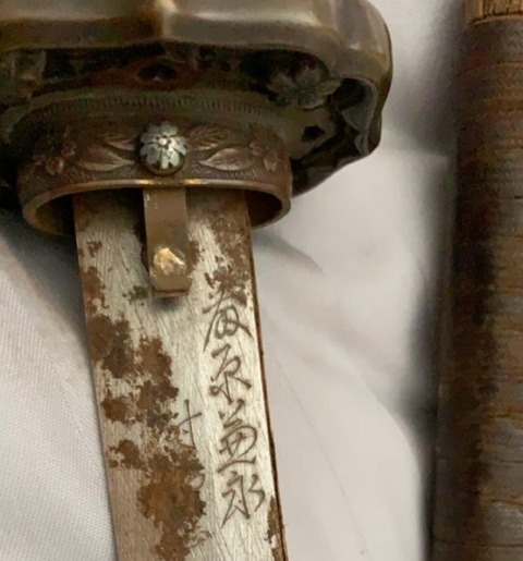 thumbnail_0b45713b-46a7-4635-b25d-29afc1551ad9