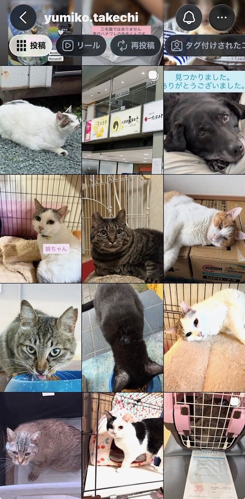 ユミコさん