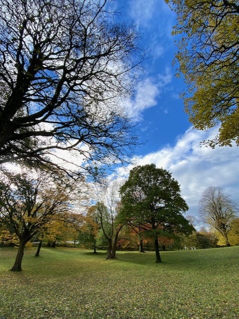 thumbnail_IMG_3653