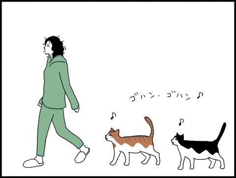 パジャマホリーneko