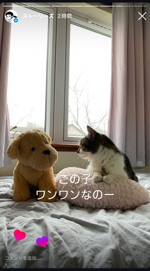 ワンワンなのー