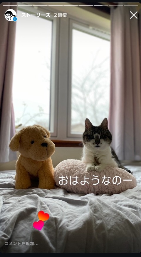 おはようなのー