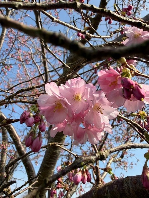春分２