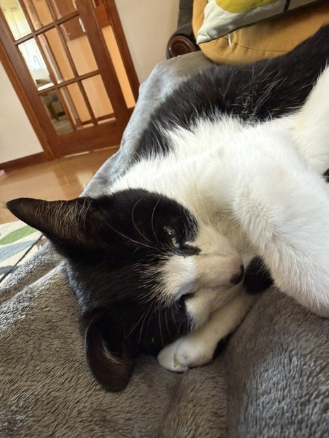 hana
