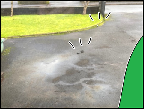 何かが２つ落ちている