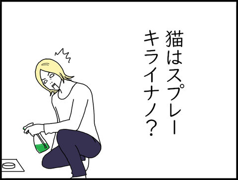 スプレー旦那1