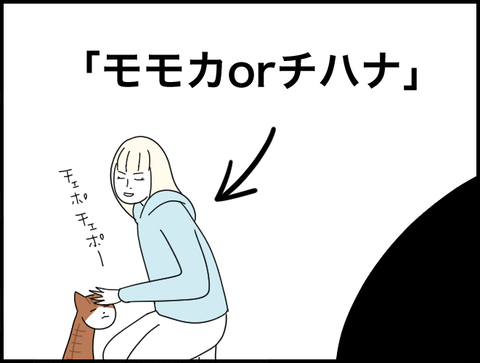 モモカORチハナ